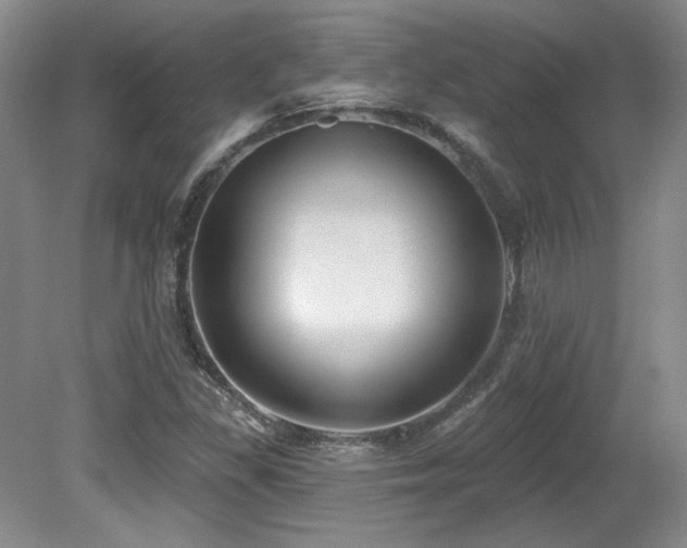 X0000080791309200612151444