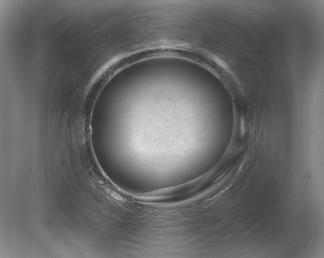 X0000080791310200612151444
