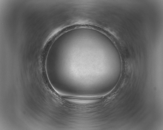 X0000080791311200612151444