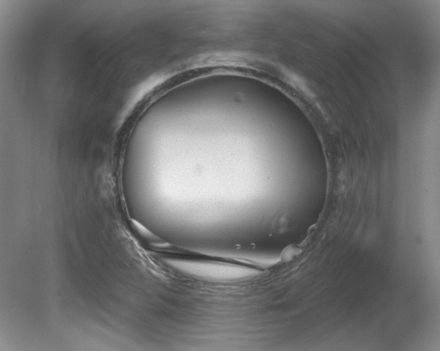 X0000080791312200612151444