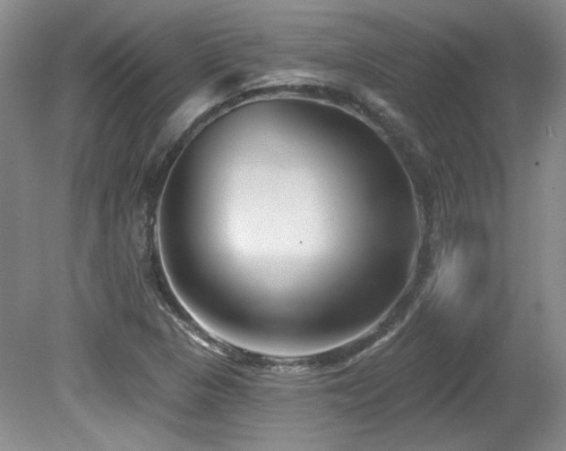 X0000080791313200612151444