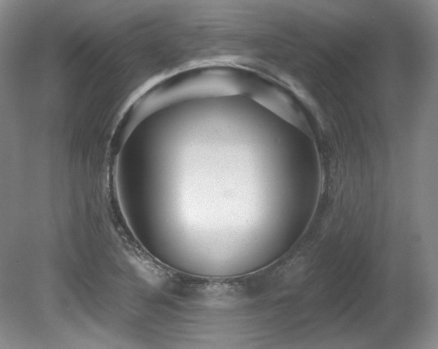 X0000080791316200612151444