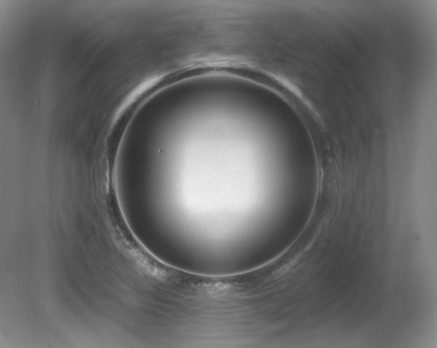 X0000080791317200612151444