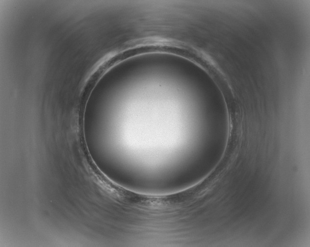 X0000080791318200612151444