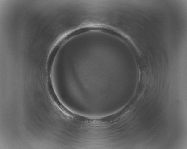 X0000080791319200612151444