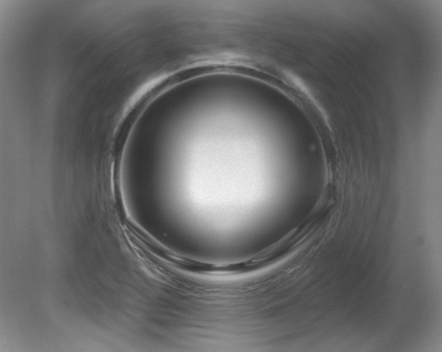 X0000080791320200612151444