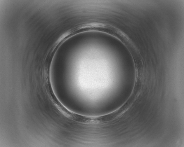 X0000080791321200612151444