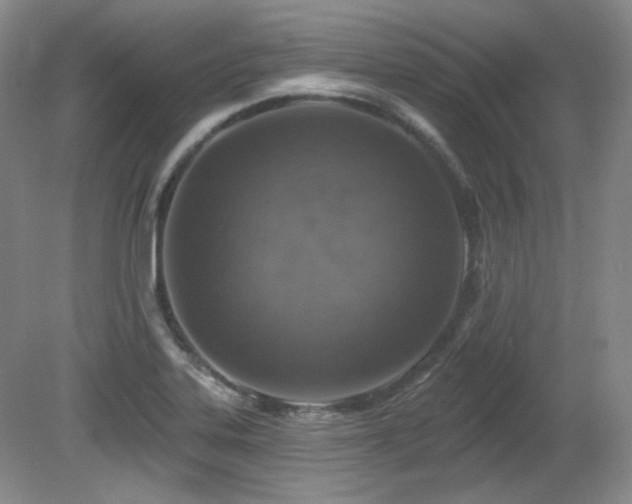 X0000080791323200612151444