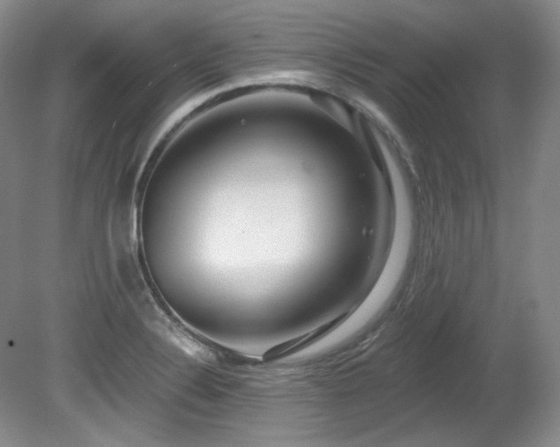 X0000080791324200612151445