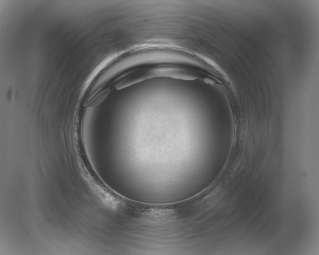 X0000080791325200612151445