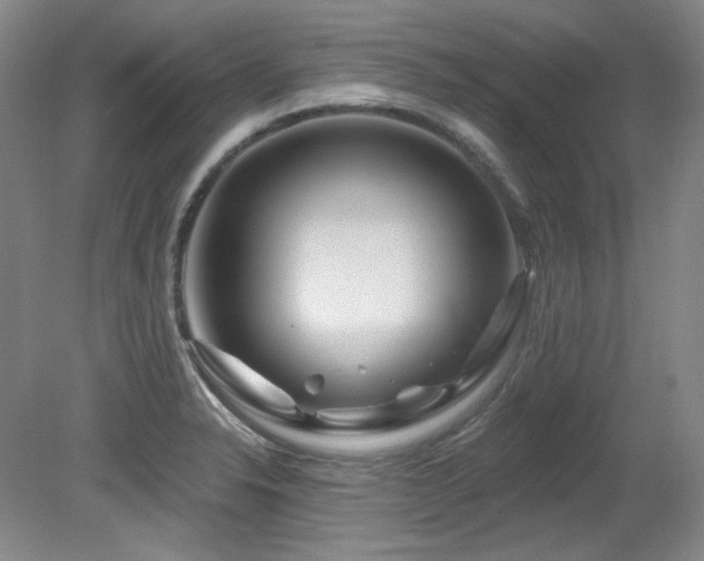 X0000080791326200612151445