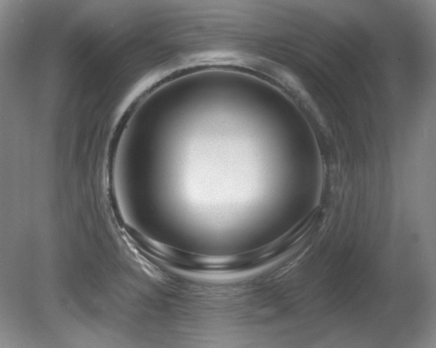 X0000080791328200612151445