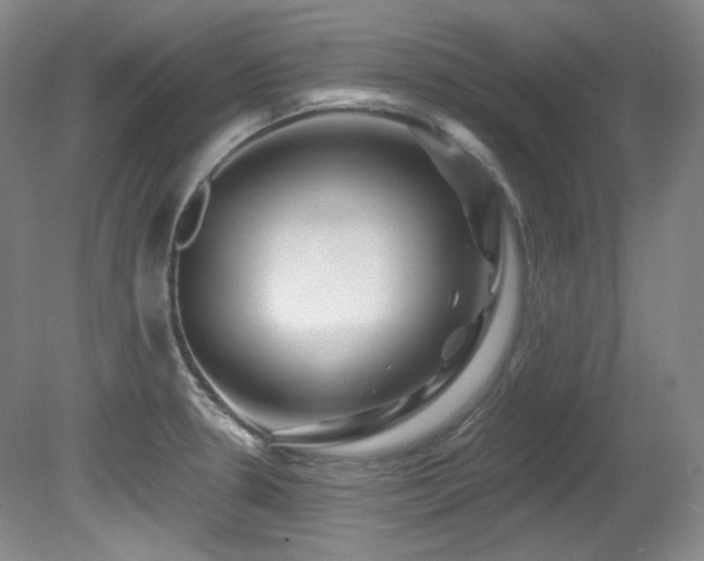 X0000080791330200612151445