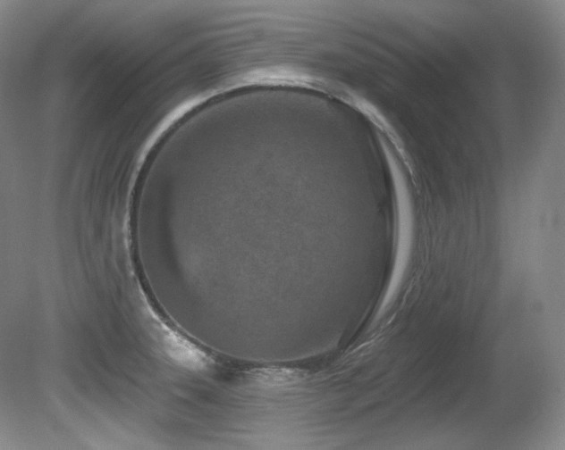 X0000080791331200612151445