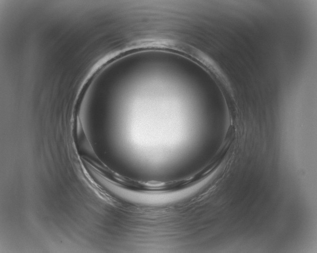 X0000080791332200612151445