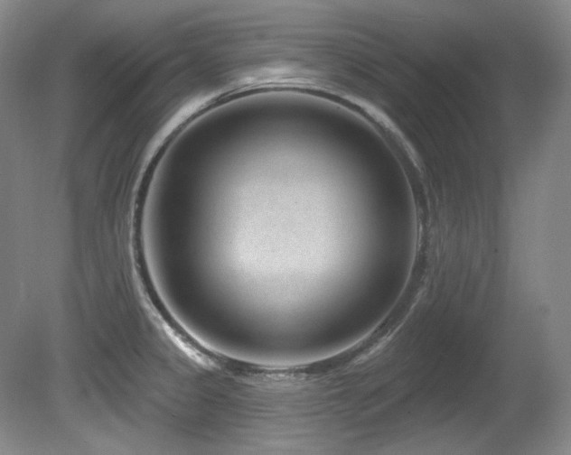 X0000080791333200612151445