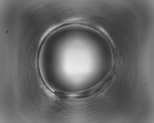 X0000080791336200612151445