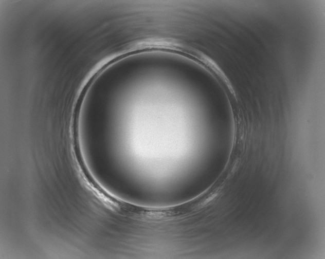 X0000080791339200612151445
