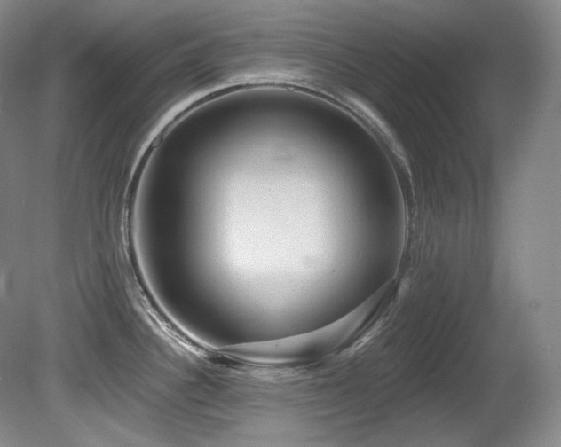 X0000080791340200612151445