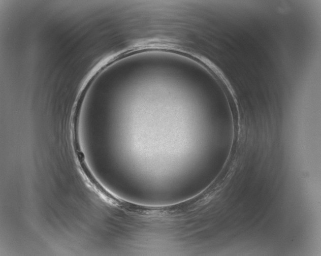 X0000080791341200612151445