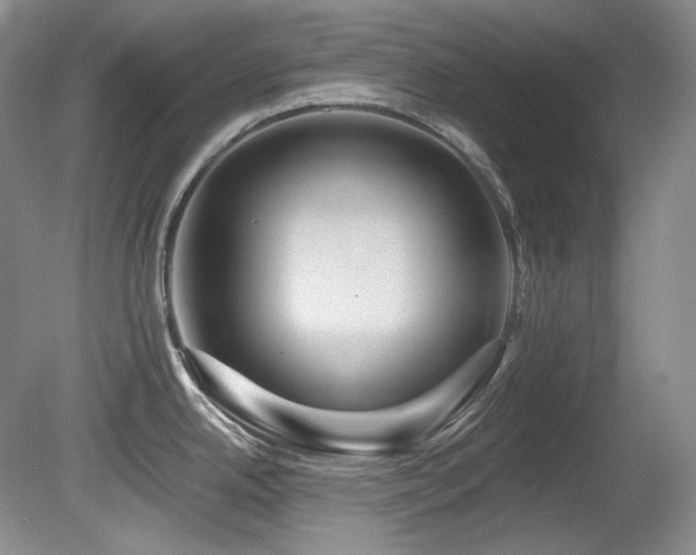 X0000080791342200612151445