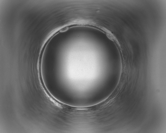 X0000080791343200612151445