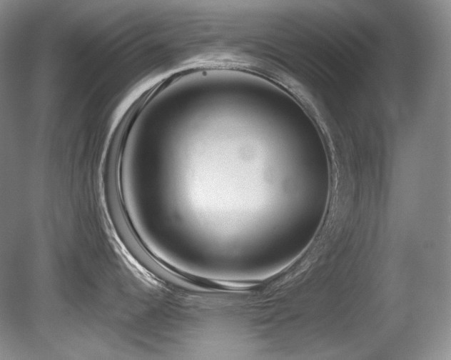 X0000080791344200612151445