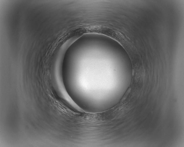 X0000080791345200612151444