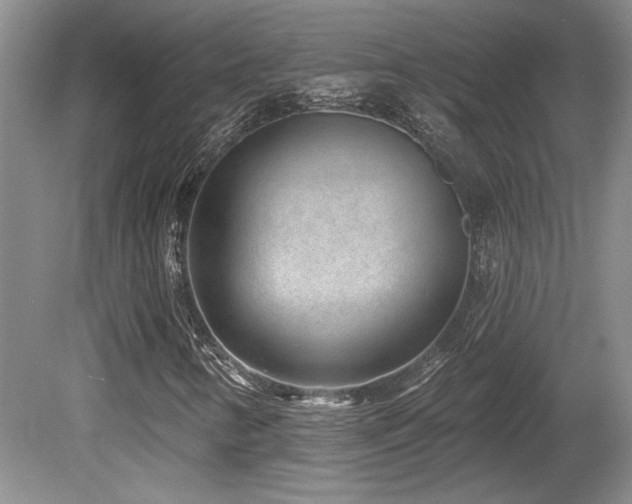 X0000080791346200612151444