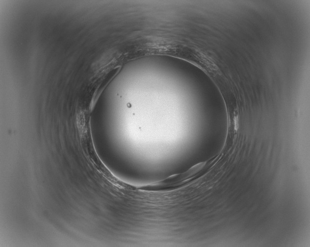X0000080791347200612151444