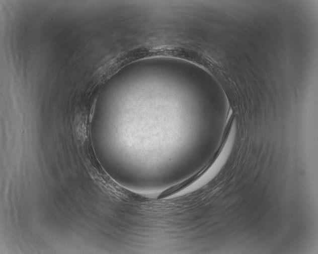 X0000080791348200612151444