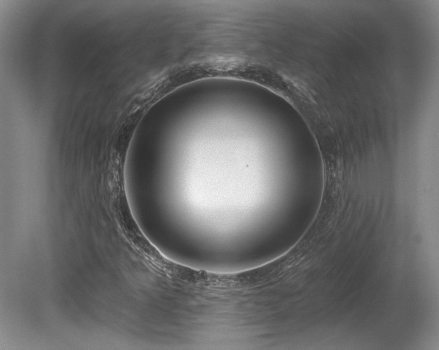 X0000080791349200612151444