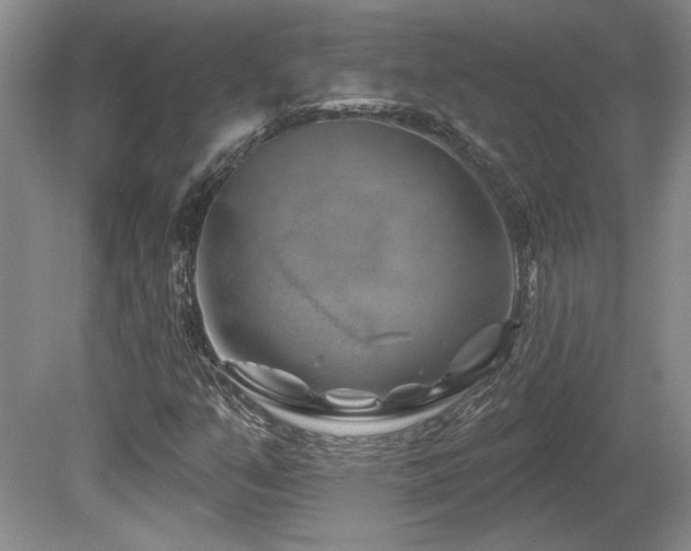 X0000080791351200612151444