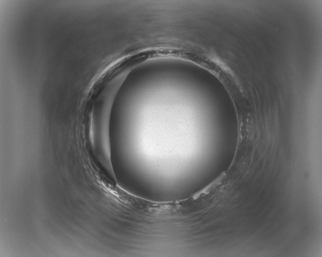 X0000080791352200612151444
