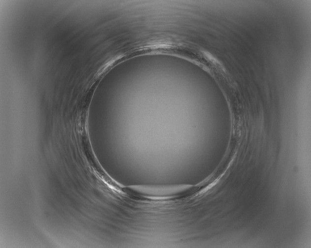 X0000080791353200612151444