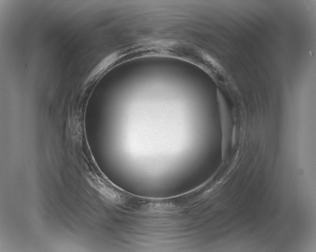 X0000080791354200612151444