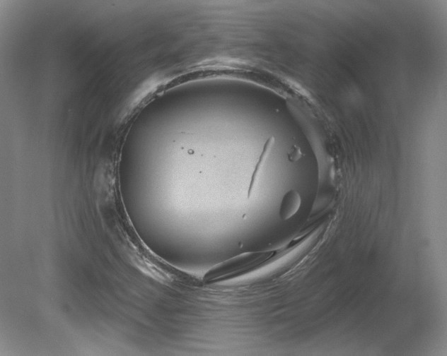 X0000080791355200612151444