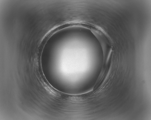 X0000080791356200612151444