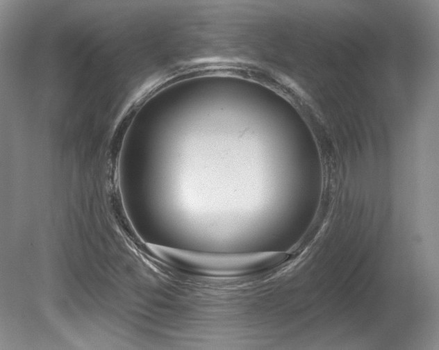 X0000080791357200612151444