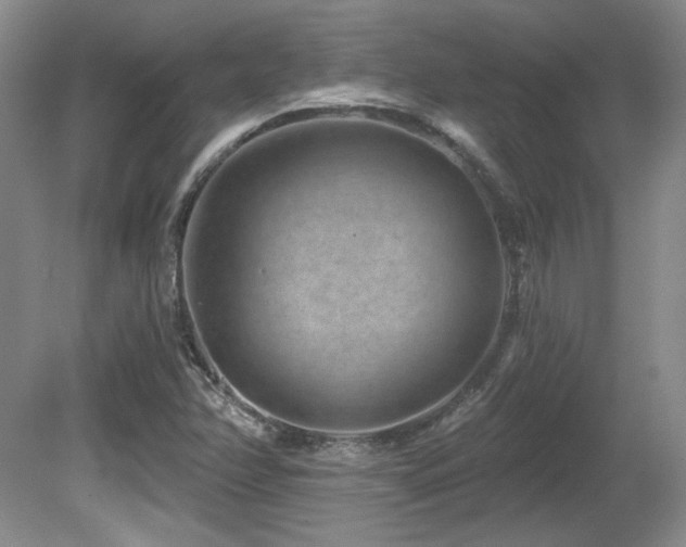 X0000080791358200612151444