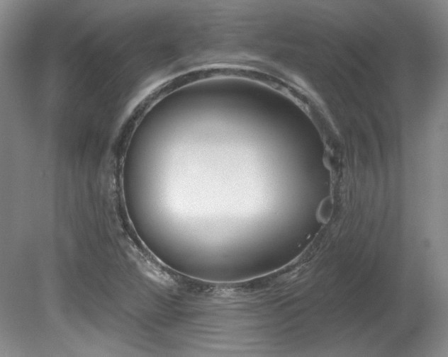 X0000080791360200612151444