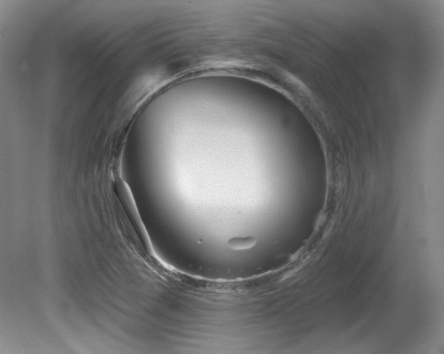 X0000080791361200612151444