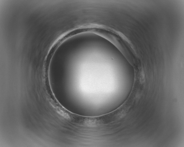 X0000080791364200612151444