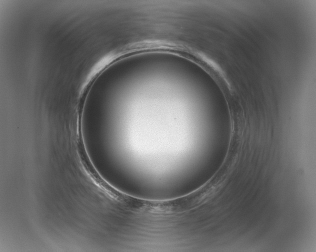 X0000080791365200612151444