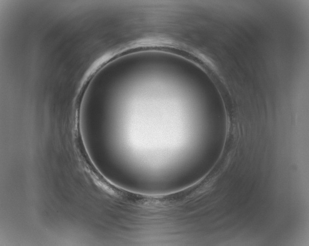 X0000080791366200612151444