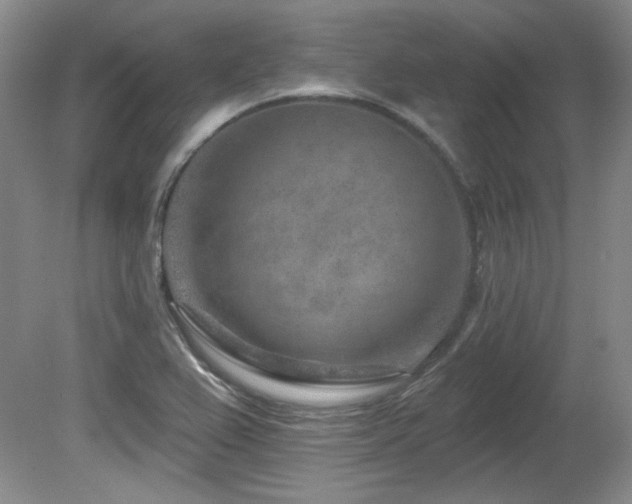 X0000080791367200612151444