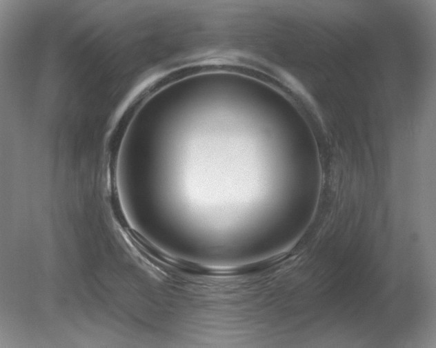 X0000080791368200612151444