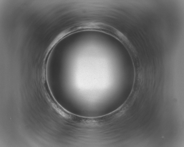 X0000080791370200612151444
