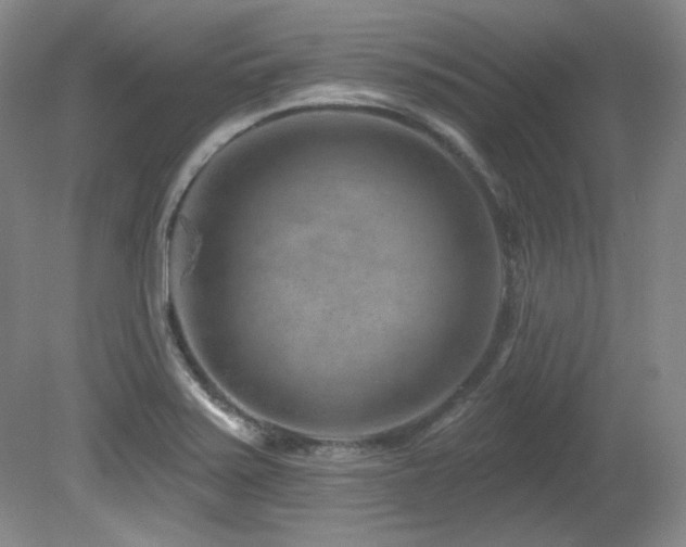 X0000080791371200612151444