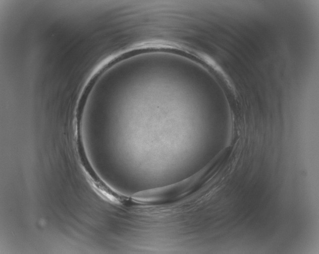 X0000080791372200612151444